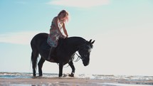 Playful horse on a beach, woman riding horseback on a summer's day