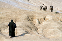 Man in a black cloak with three pigs  in a dry land.
