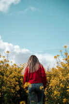 Freedom in nature, girl walking in a field, yellow rapeseed blue sky landscape photo