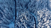 Aerial view of snow-covered forest and winding road.