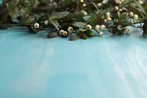 branches with white berries on a blue background