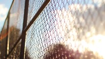 Baseball fence dolly shot sunset
