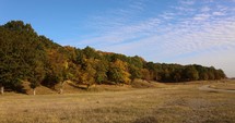 Beautiful Forest And Field Landscape On An Autumn Day - wide angle shot