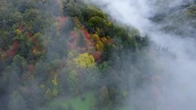 Colorful autumn forest and fog
