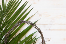 palm frond and crown of thorns on white 