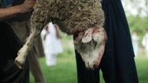 Middle eastern, muslim men with knife cutting sheep meat preparing for Islamic religious holiday Eid Al Adha or Eid Al Fitr in cinematic slow motion.