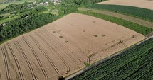 Revealed A Scenery Of Vast Wheat Agriculture Terrain Near Countryside Village Of Romania During Summer. - Aerial Drone Shot
