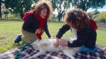 Two smiling women petting relaxed dog lying on plaid blanket on a green lawn and enjoying belly rubs during sunny day in the park
