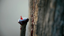 Blood drops spilling on a wooden cross with an old and rusty nail. Macro Shot
