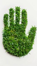Hand Made By Green Grass 