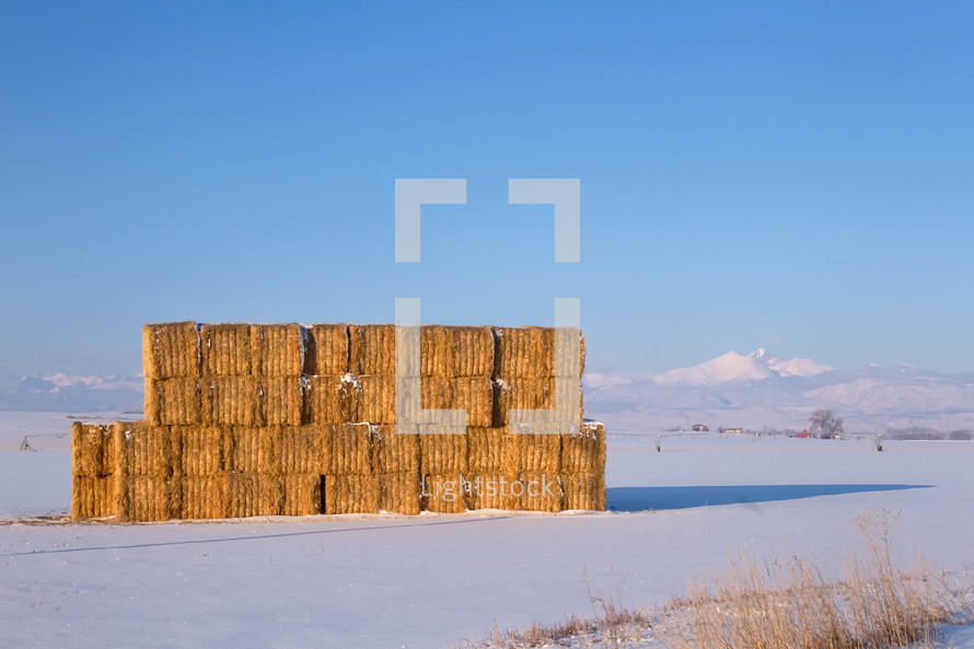 Golden Hay stacked in a field with snow capped mountains in the background