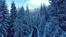 Aerial View Of Road Through Snow Pine Forest In Winter.