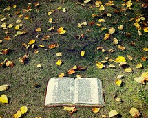 a bible against grass and fall leaves