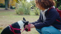 Young curly-haired woman giving treats and petting her adorable dog on a green lawn in the park on a summer day. Medium shot, side view
