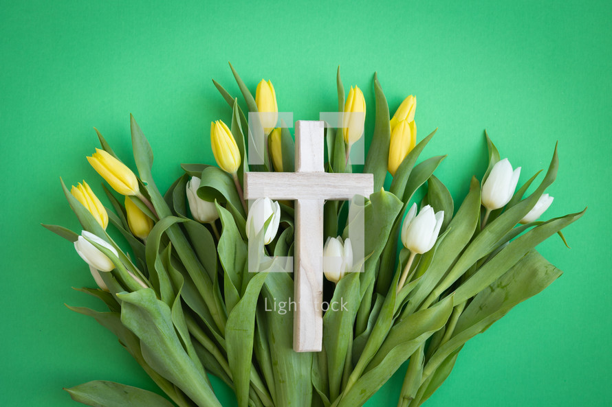 Cross on a bed of yellow and white tulips on a green background
