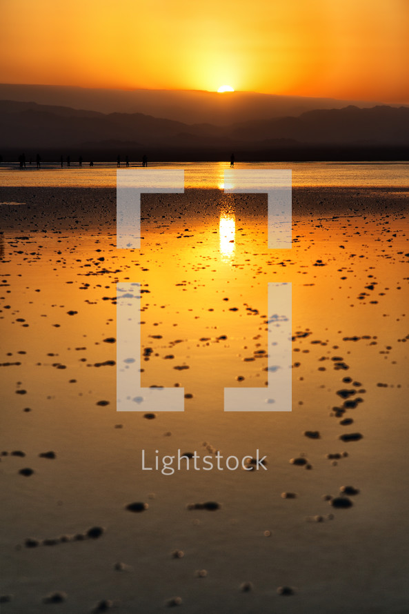 sunset over the shore of a salt lake 
