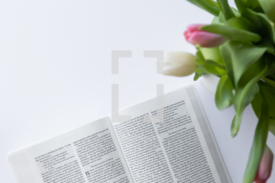 open Bible and tulips 