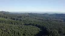 Aerial footage of state forest in Northwest