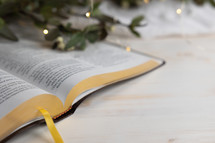 open Bible and branches with fairy lights 