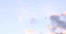 Distant View Of The Airplane Flying From The Sky With Colorful Horizon During Sunset. tracking shot