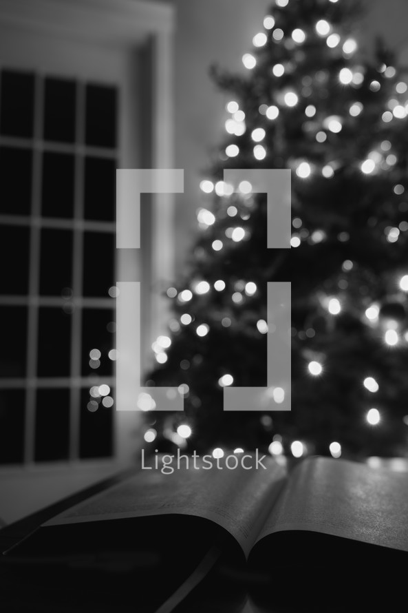 Bible and Christmas tree lights 