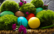 Easter eggs and moss 