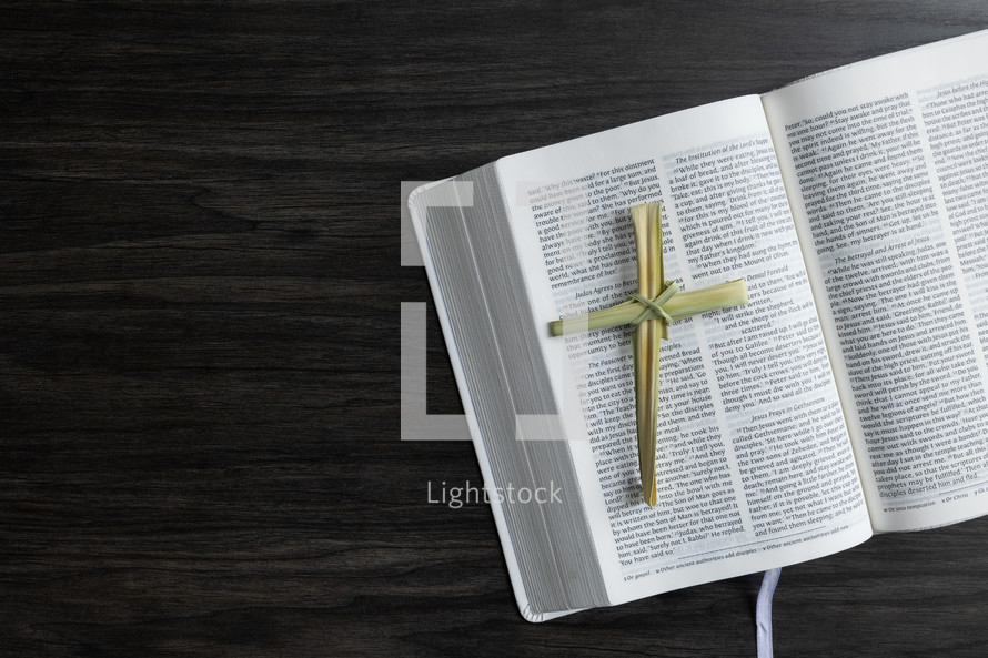 dried palm cross and open bible on dark wood 