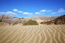 ripples in desert sand 