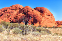 Australian Outback 