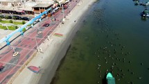 Aerial shot drone descends with camera angled down over pelicans and boat near the beach as camera pans up and then the drone flies backwards
