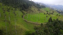 Aerial shot drone lowers slowly over cloudy hill covered in palm trees in Cocora Valley Salento