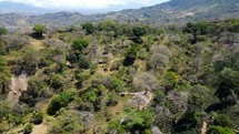 Aerial shot drone flies backwards over coffee plantation with mountains in the background