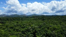 Aerial shot drone ascends over lush green jungle with mountains and clouds in background