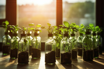 AI generative images. Used glass bottles as planters with micro green seedlings on a window sill. Upcycling concept