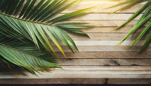 Palm Branches on Wood Background