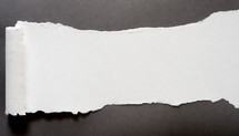 torn paper with rolled edge in white on neutral gray background