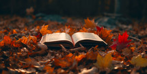 A Bible opened sitting on a pile of leaves on the ground.