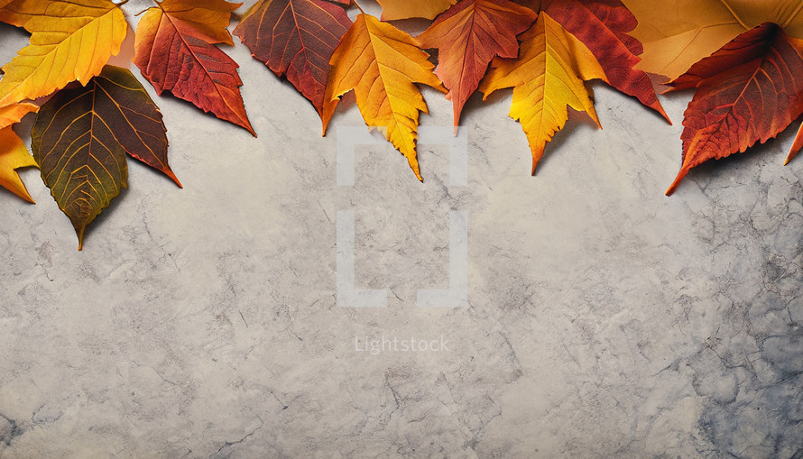 autumn leaves along top edge of rough concrete or stone surface, flat lay style