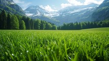 Idyllic Swiss alpine scene featuring close-up shots of verdant meadows, capturing the intricate details of lush green grass against the majestic mountainous terrain, Generative AI
