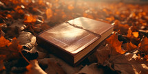 Bible sitting in a pile of leaves on the ground.