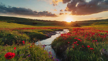 Field of Flowers