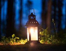 A Lantern in the woods