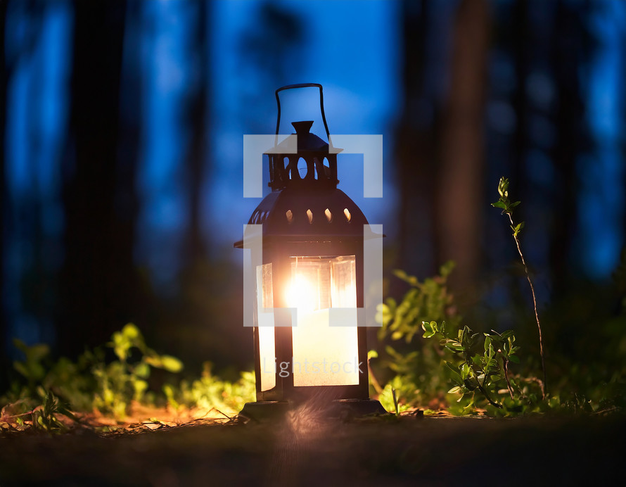 A Lantern in the woods