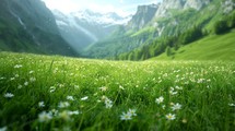 Picturesque Swiss mountain panorama featuring detailed macro shots of vibrant green meadows and close-up images of lush grass, portraying the stunning beauty of the alpine flora Generative AI