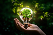 AI generated image. Human hand holding Illuminated Transparent bulb with lush tree inside. Alternative energy concept