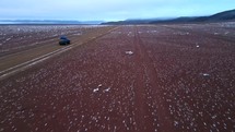 Aerial shot drone flies low to left of jeep going through red desert with fresh snow on ground just before sunrise