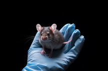 AI generated image. Hand of scientist in a rubber glove holding mouse for scientific experiment