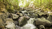 stream in Algonquin Provincial Park - Canada