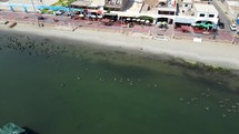 Aerial shot drone flies backwards with camera angled as pelicans swim and fly on nearby boats in marina
