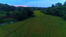 Aerial Rice Paddy Asian Rising Establishing Shot Farmers Fields To Urban Thailand 
